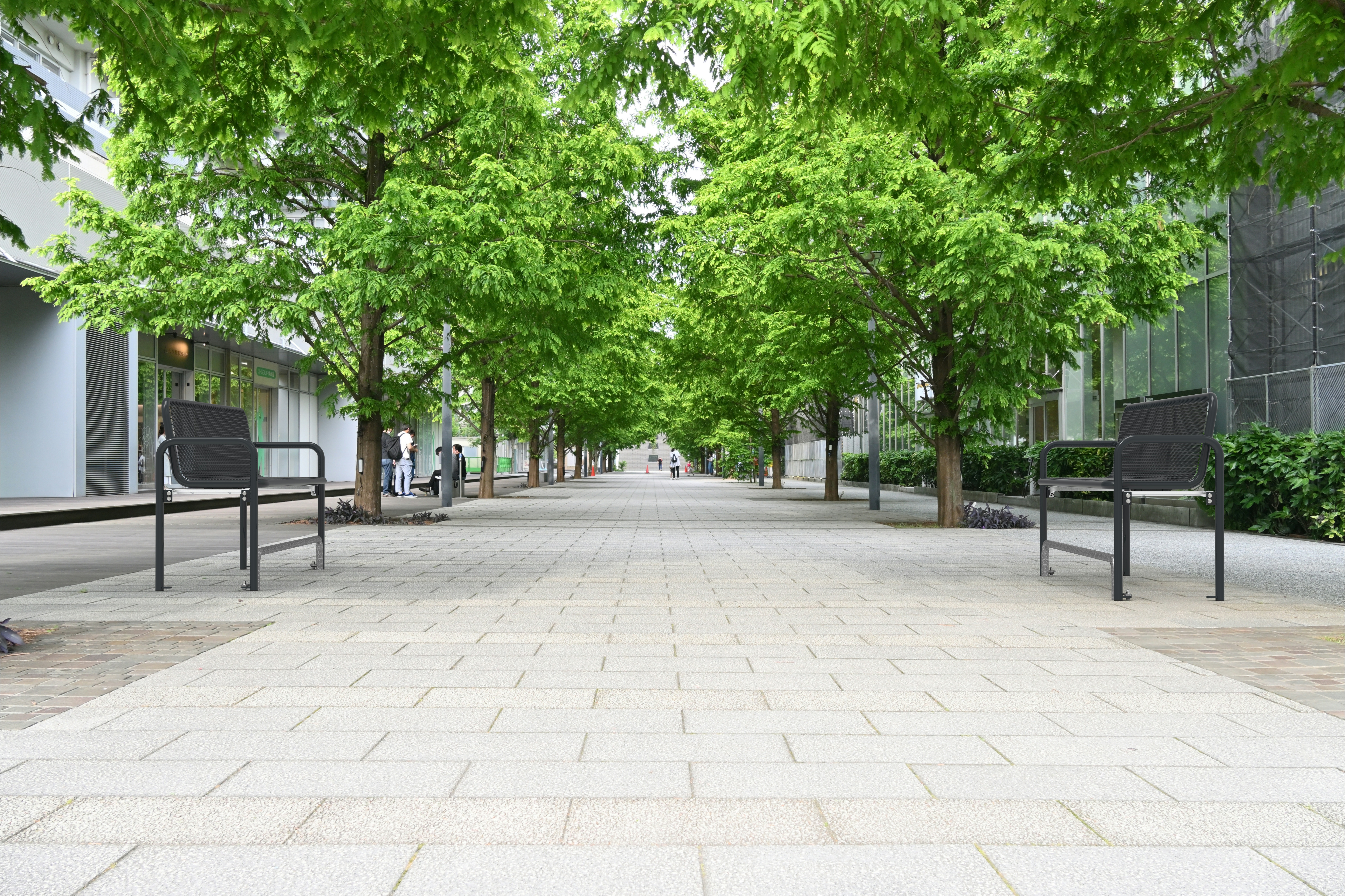 Schwarze Outdoor-Metallbank mit Mesh-Sitz und Armlehnen am begrünten Gehweg