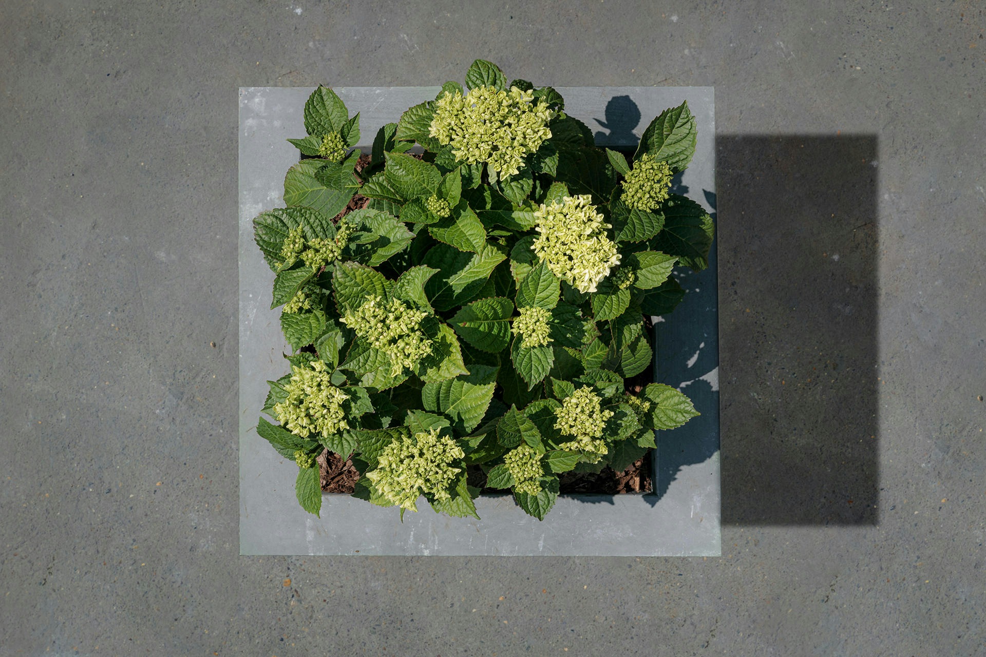 Alternativtext wird nicht gepflegt.